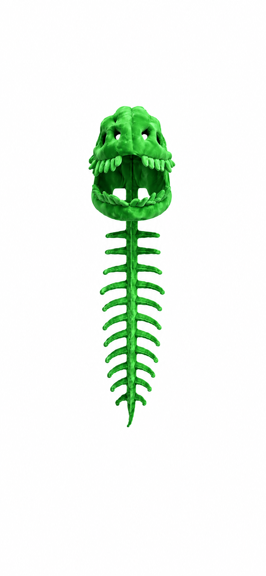 Dino Skeleton Hoodie