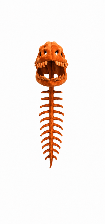 Dino Skeleton Hoodie