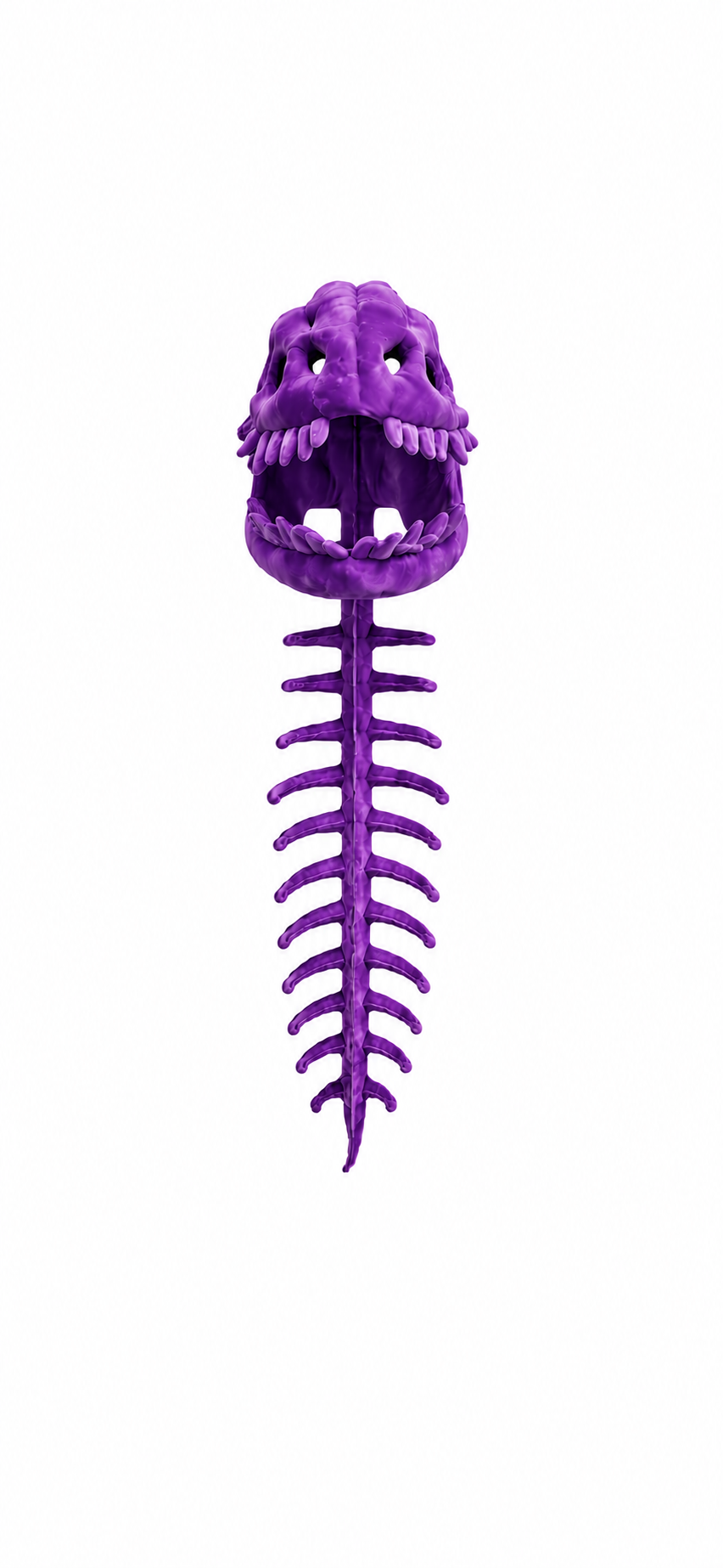 Dino Skeleton Hoodie