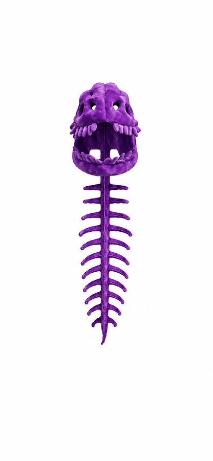 Dino Skeleton Hoodie