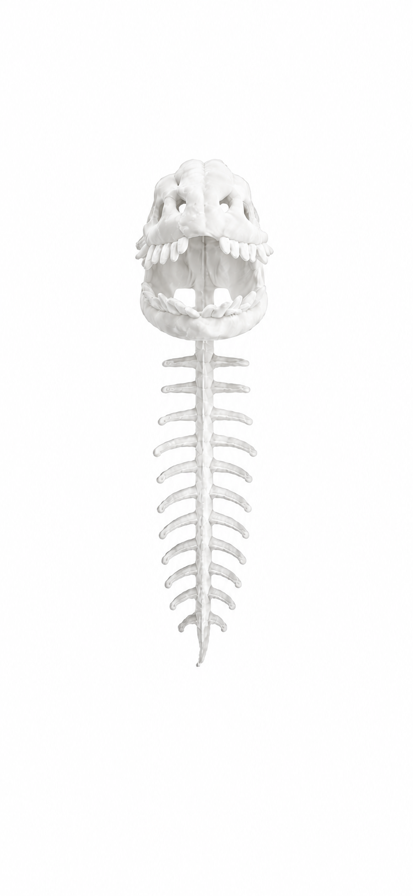 Dino Skeleton Hoodie