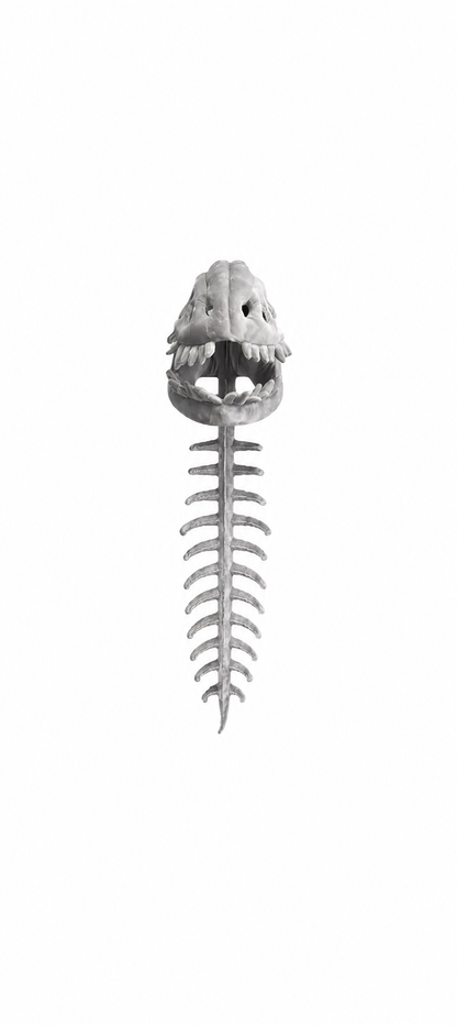 Dino Skeleton Hoodie