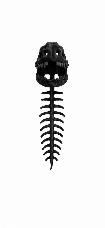 Dino Skeleton Hoodie